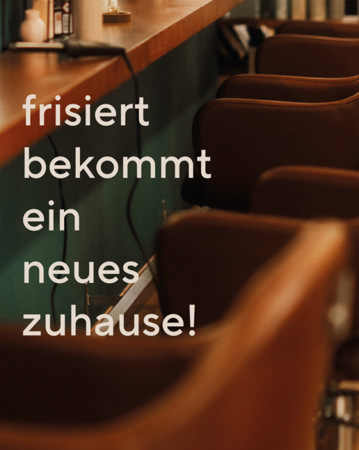 webseite_frisiert_2.0.png
